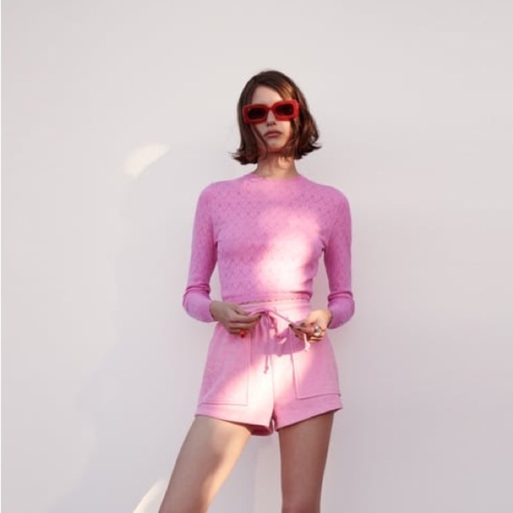 ZARA POINTELLE KNIT SWEATER in Pink